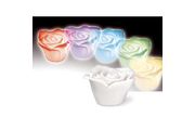 MAGICAL ROSE