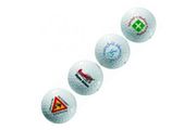 Titleist PTS Roll Golf Balls